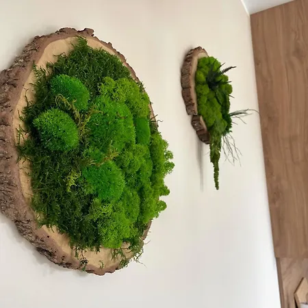 Natura Ferienhaus *